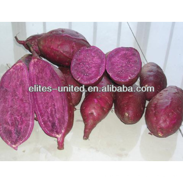 Purê de batata roxo congelado